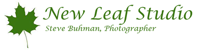 New Leaf Studio
